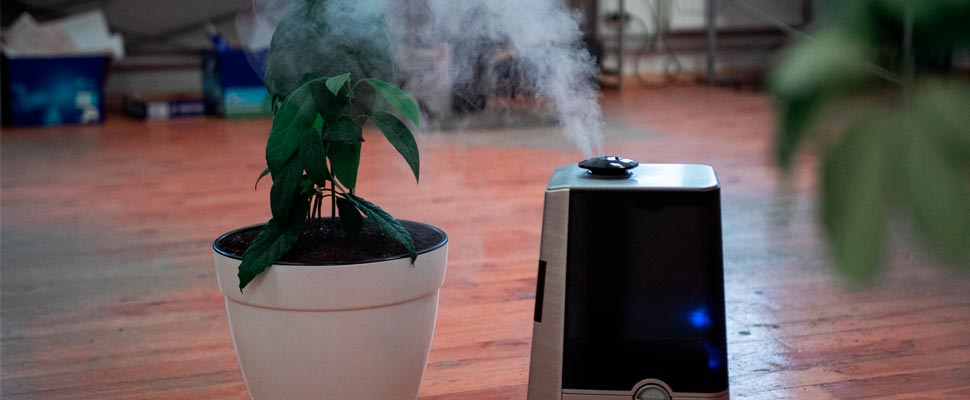 purificador de aire