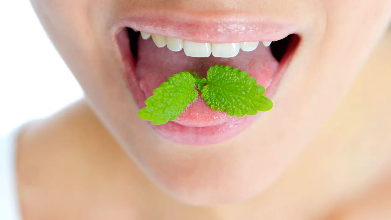 Cepillos de dientes eléctricos